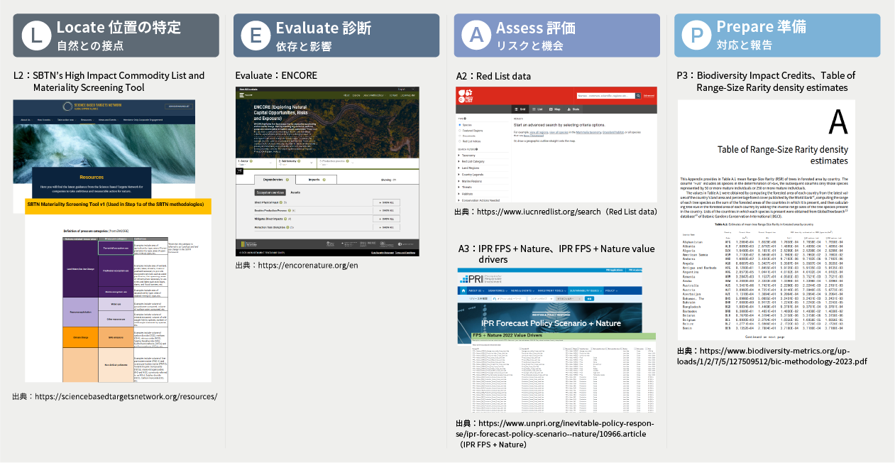 LEAPアプローチ 評価ツール